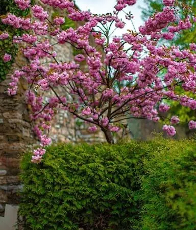 דירה Moderne Im Herzen Von Elspe לנסטאט