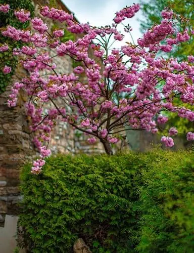 Lejlighed Moderne Im Herzen Von Elspe Lennestadt